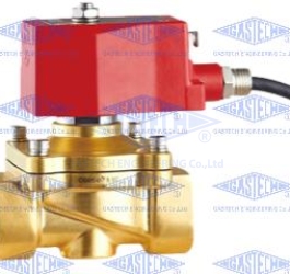 VAN ĐIỆN TỪ CHỐNG CHÁY NỔ 2W-15KEx (Explosion-Proof Solenoid Valve)